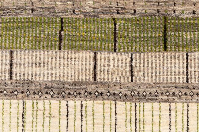 Persan Gabbeh Loribaft Tabiilbaft - 7