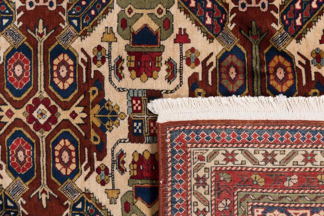 Shirvan - 6