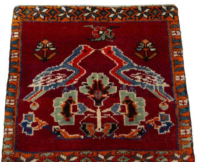 Shiraz - 3