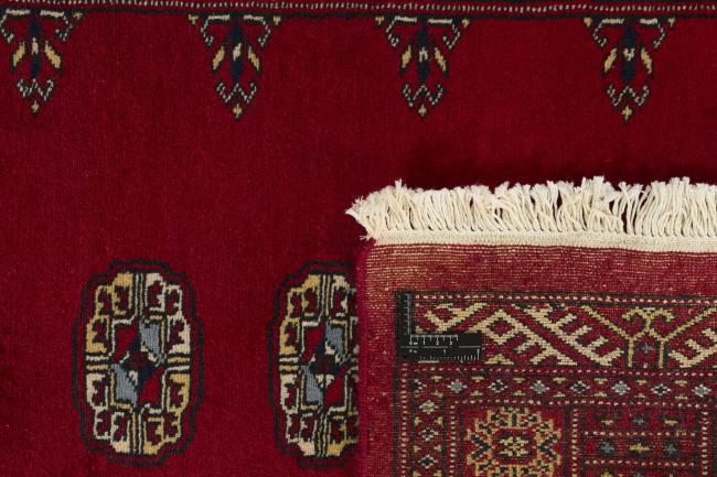 Pakistan Buchara 2ply - 1