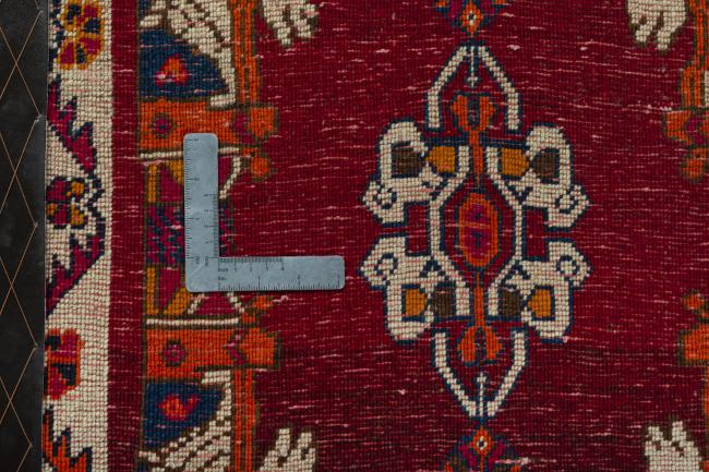 Shiraz - 4