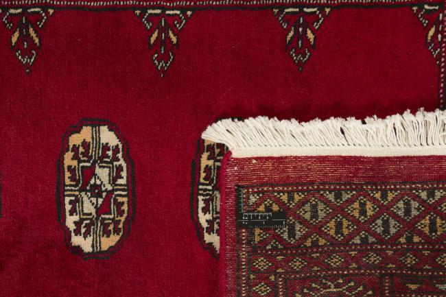 Pakistan Buchara 2ply - 1