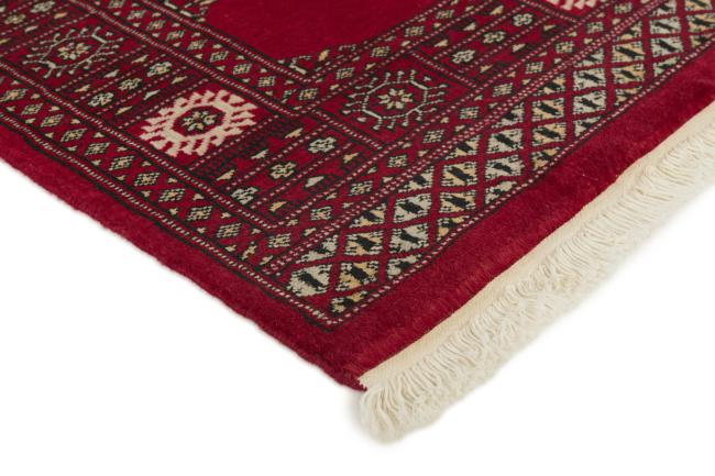 Pakistan Buchara 2ply - 3