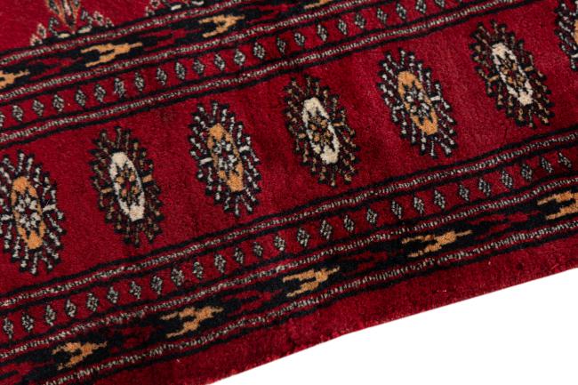 Pakistan Bukhara 3ply - 4