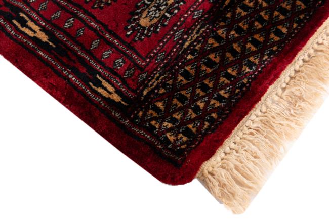Pakistan Bukhara 3ply - 5