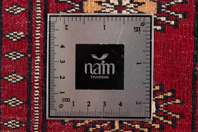 Pakistan Bukhara 3ply - 7