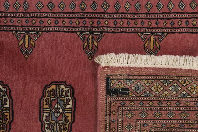 Pakistan Buchara 2ply - 1