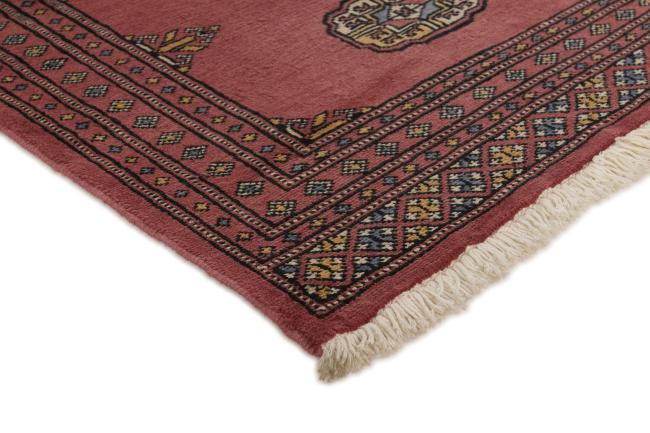 Pakistan Buchara 2ply - 3