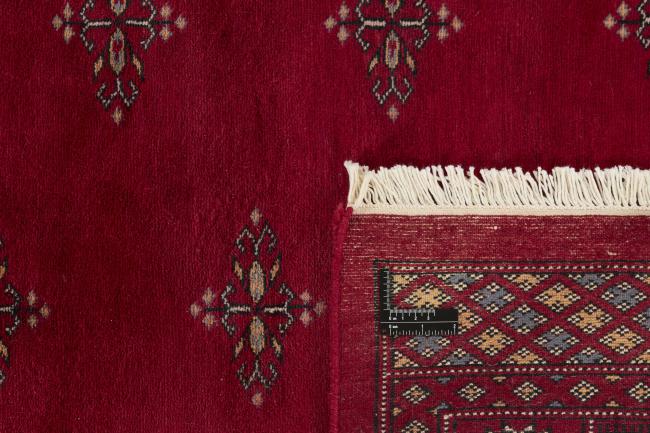 Pakistan Buchara 3ply - 1