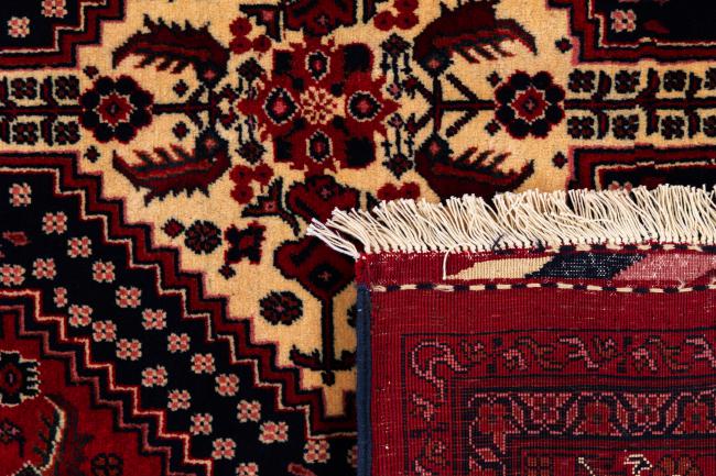 Khal Mohammadi - 6