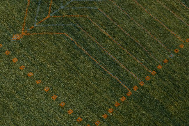 Persian Gabbeh Yalamehbaft - 4