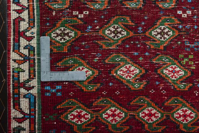 Shiraz - 4