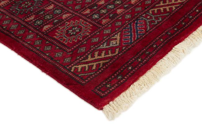 Pakistan Buchara 2ply - 3