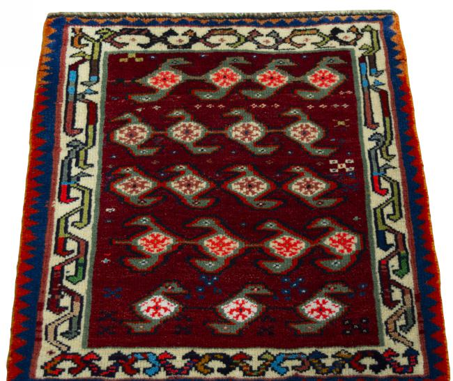 Shiraz - 3