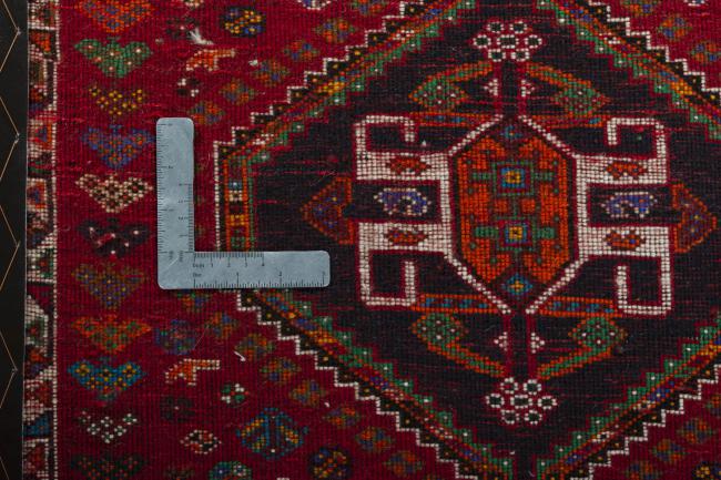 Shiraz - 4