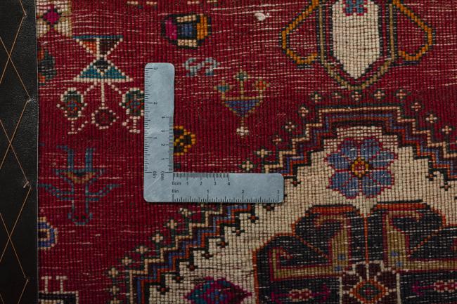 Shiraz - 4