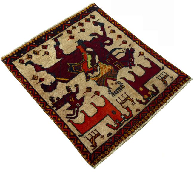 Shiraz - 2