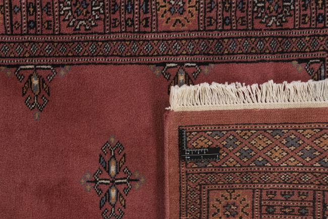 Pakistan Buchara 2ply - 1