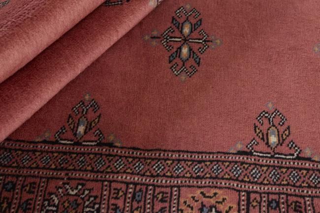 Pakistan Buchara 2ply - 2