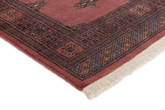 Pakistan Buchara 2ply - 3