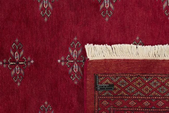 Pakistan Buchara 3ply - 1