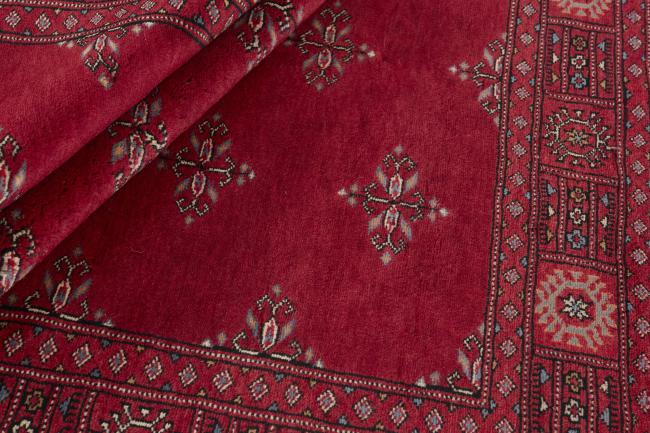 Pakistan Buchara 3ply - 2
