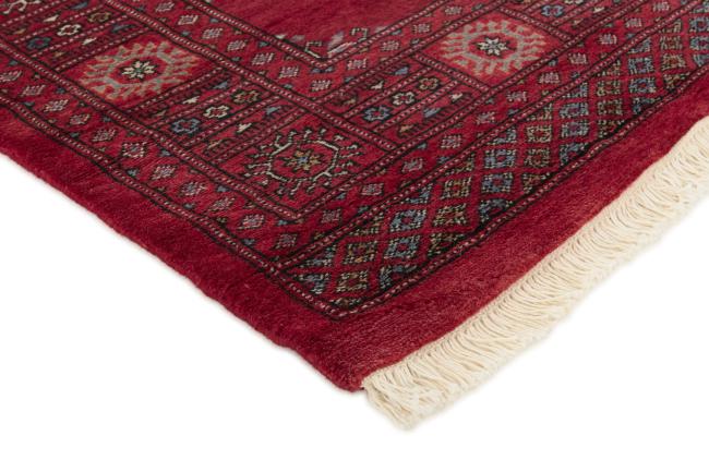 Pakistan Buchara 3ply - 3