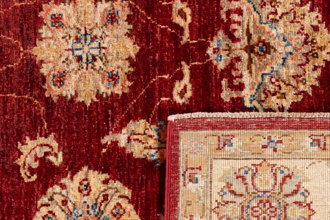 Ziegler ファラハン - 6