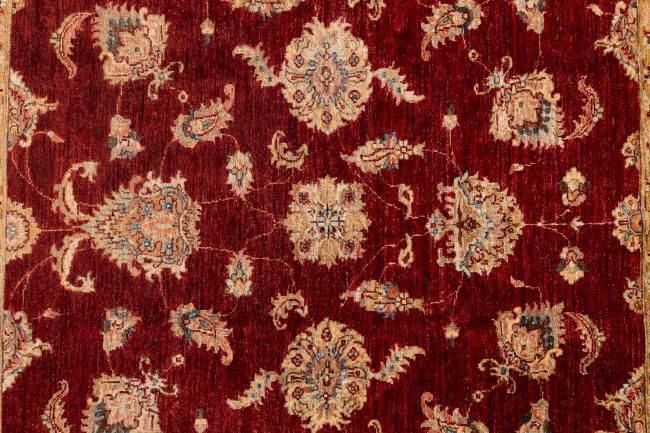 Ziegler ファラハン - 7