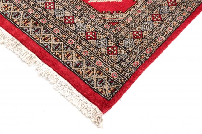 Pakistan Buchara 3ply - 3
