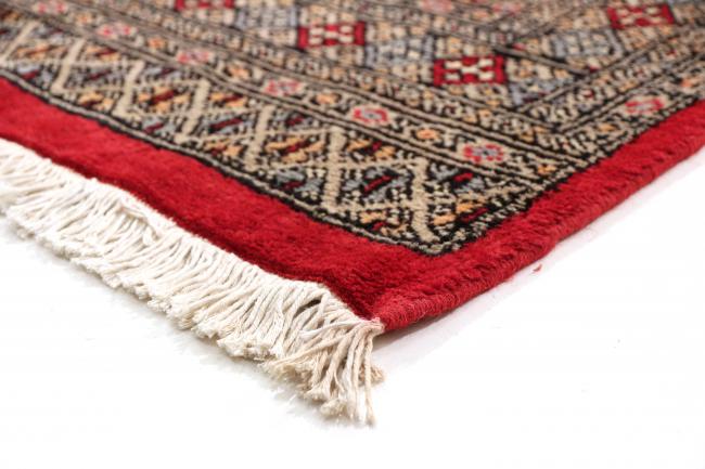 Pakistan Buchara 3ply - 4