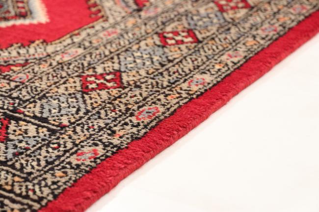 Pakistan Buchara 3ply - 5
