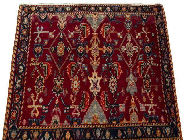 Shiraz - 3