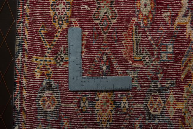 Shiraz - 4