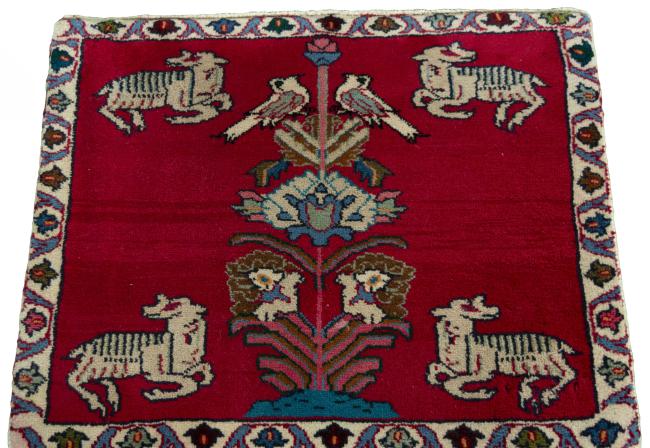 Shiraz - 3