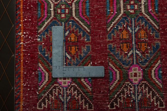 Shiraz - 4