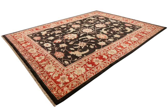 Ziegler Farahan - 1