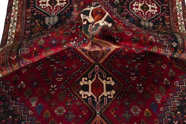 Shiraz - 8