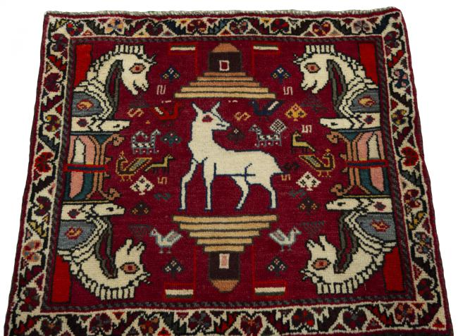 Shiraz - 3
