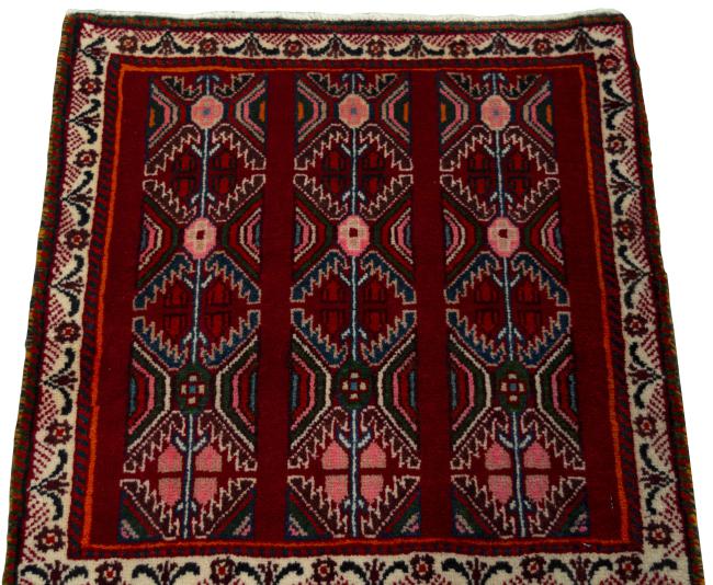 Shiraz - 3