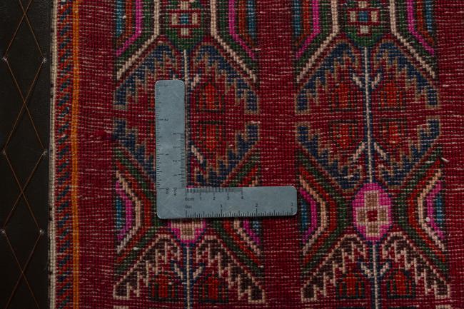 Shiraz - 4