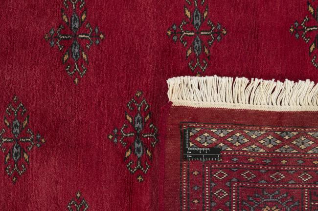 Pakistan Buchara 3ply - 1