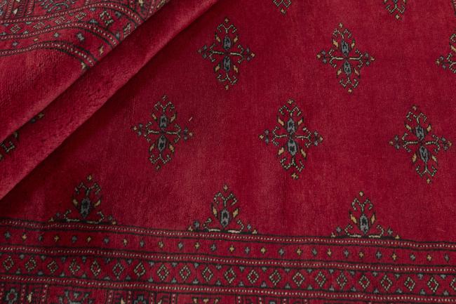 Pakistan Buchara 3ply - 2
