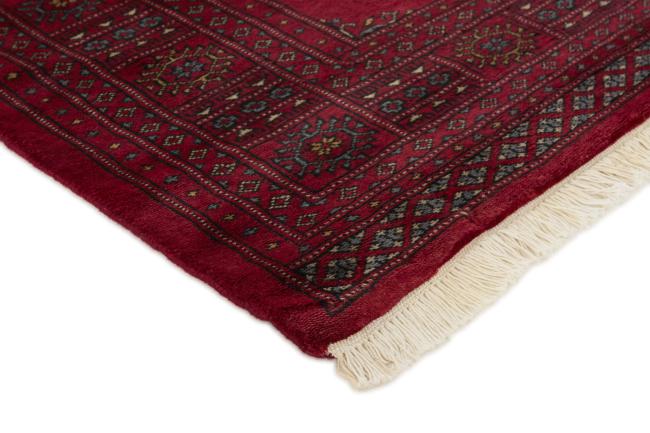 Pakistan Buchara 3ply - 3
