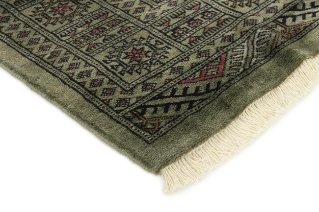 Pakistan Buchara 3ply - 3