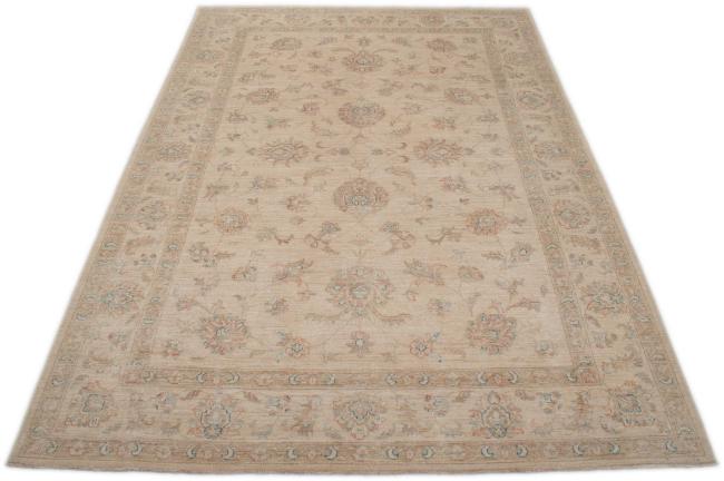 Ziegler Farahan - 3
