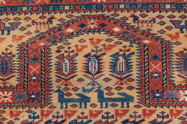 Shirwan Old - 7