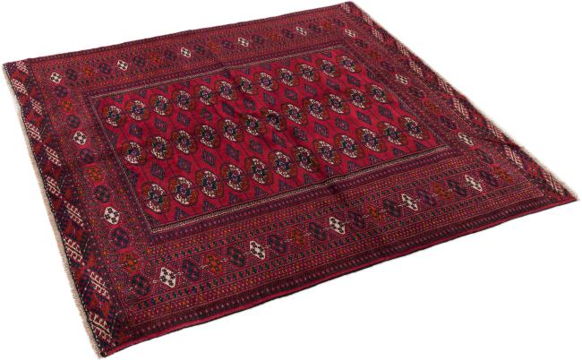 Turkaman Old - 1