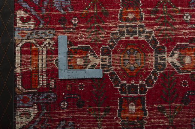 Shiraz - 4