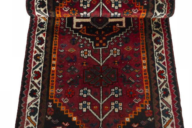 Shiraz - 7